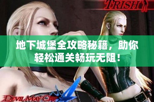 地下城堡全攻略秘籍，助你轻松通关畅玩无阻！