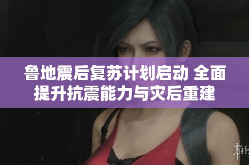 鲁地震后复苏计划启动 全面提升抗震能力与灾后重建