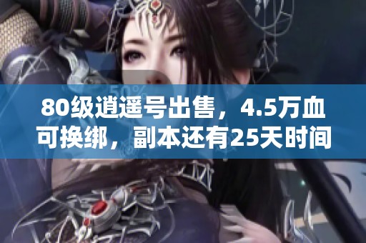 80级逍遥号出售，4.5万血可换绑，副本还有25天时间
