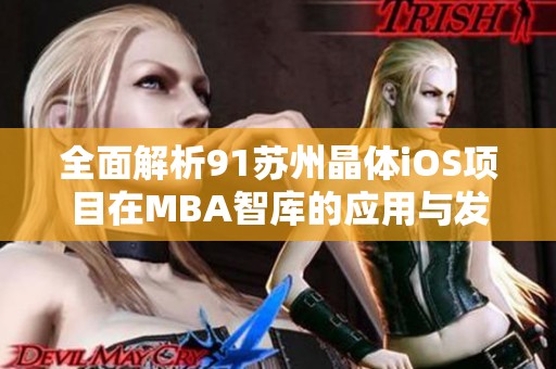 全面解析91苏州晶体iOS项目在MBA智库的应用与发展