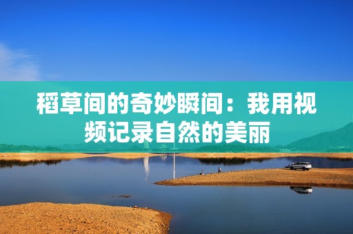 稻草间的奇妙瞬间：我用视频记录自然的美丽