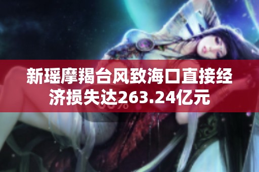 新瑶摩羯台风致海口直接经济损失达263.24亿元