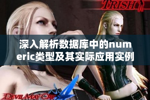 深入解析数据库中的numeric类型及其实际应用实例