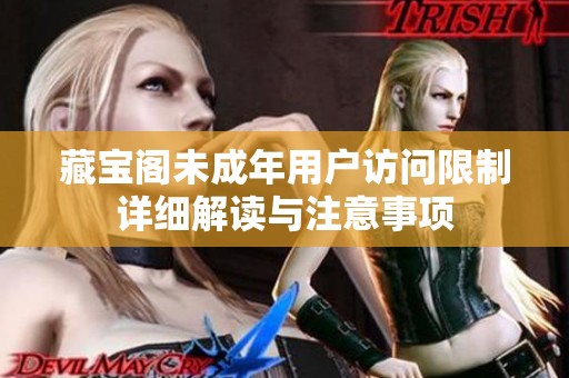 藏宝阁未成年用户访问限制详细解读与注意事项