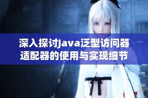 深入探讨Java泛型访问器适配器的使用与实现细节