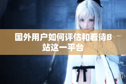 国外用户如何评估和看待B站这一平台