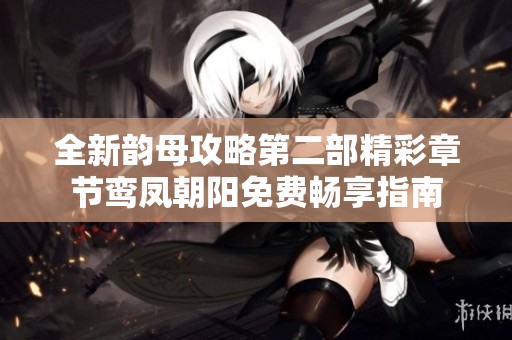 全新韵母攻略第二部精彩章节鸾凤朝阳免费畅享指南