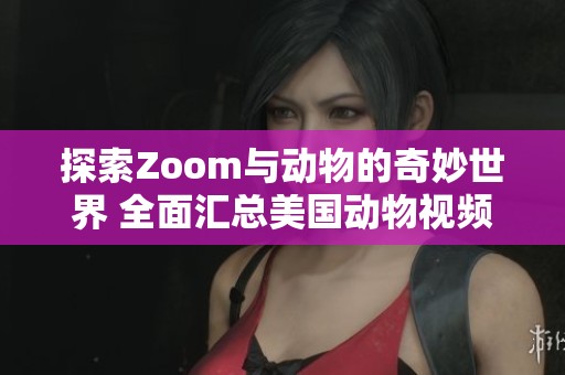 探索Zoom与动物的奇妙世界 全面汇总美国动物视频资源