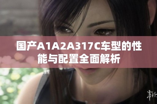 国产A1A2A317C车型的性能与配置全面解析