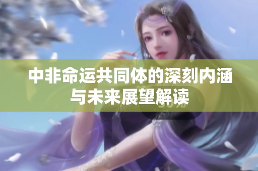 中非命运共同体的深刻内涵与未来展望解读
