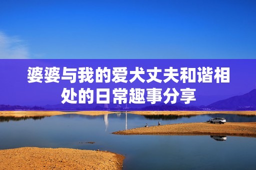 婆婆与我的爱犬丈夫和谐相处的日常趣事分享