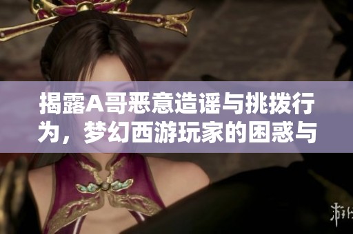 揭露A哥恶意造谣与挑拨行为，梦幻西游玩家的困惑与反击