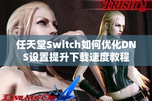 任天堂Switch如何优化DNS设置提升下载速度教程