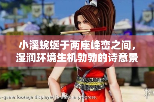 小溪蜿蜒于两座峰峦之间，湿润环境生机勃勃的诗意景致