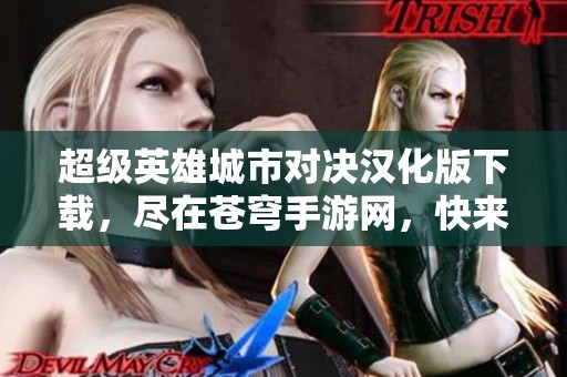 超级英雄城市对决汉化版下载，尽在苍穹手游网，快来参与战斗吧！