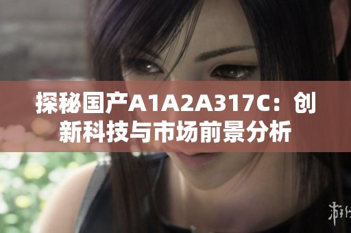 探秘国产A1A2A317C：创新科技与市场前景分析