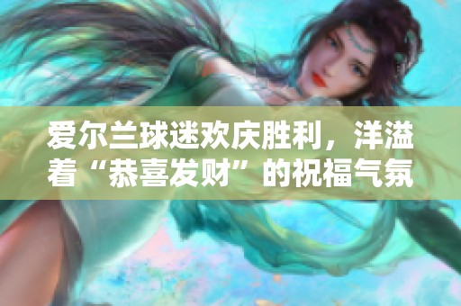爱尔兰球迷欢庆胜利，洋溢着“恭喜发财”的祝福气氛