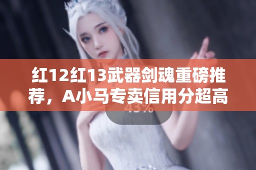 红12红13武器剑魂重磅推荐，A小马专卖信用分超高