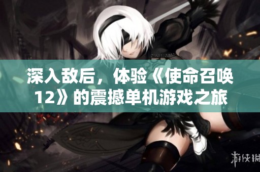深入敌后，体验《使命召唤12》的震撼单机游戏之旅