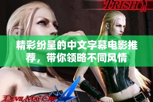 精彩纷呈的中文字幕电影推荐，带你领略不同风情