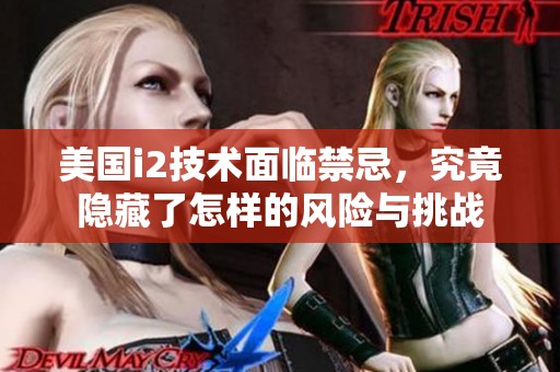 美国i2技术面临禁忌，究竟隐藏了怎样的风险与挑战