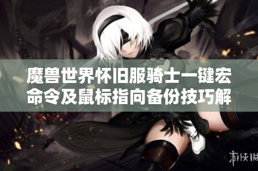 魔兽世界怀旧服骑士一键宏命令及鼠标指向备份技巧解析