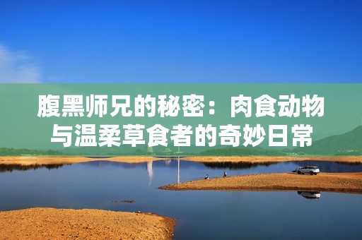 腹黑师兄的秘密：肉食动物与温柔草食者的奇妙日常