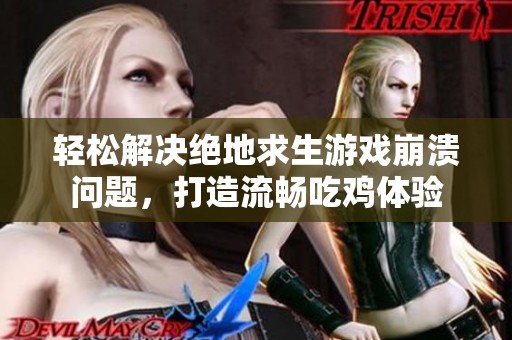 轻松解决绝地求生游戏崩溃问题，打造流畅吃鸡体验