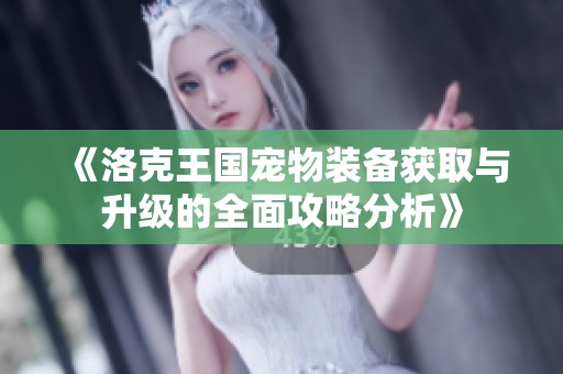 《洛克王国宠物装备获取与升级的全面攻略分析》