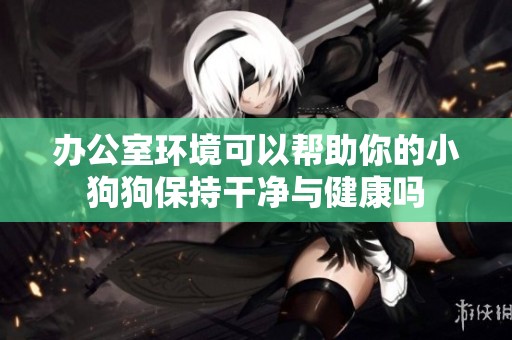 办公室环境可以帮助你的小狗狗保持干净与健康吗