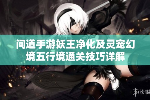 问道手游妖王净化及灵宠幻境五行境通关技巧详解