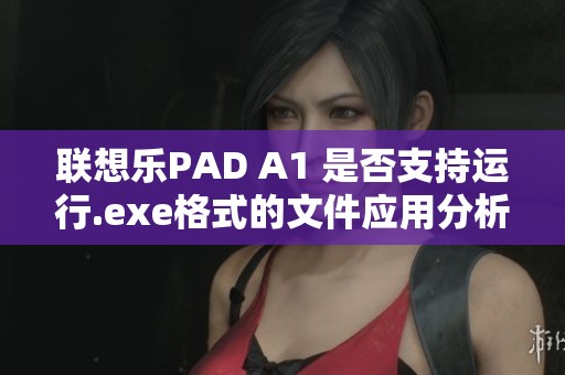 联想乐PAD A1 是否支持运行.exe格式的文件应用分析