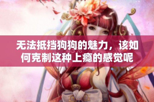 无法抵挡狗狗的魅力，该如何克制这种上瘾的感觉呢