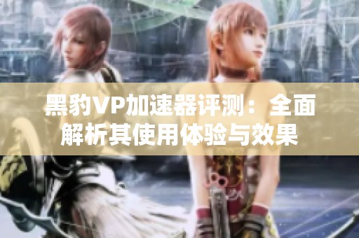 黑豹VP加速器评测：全面解析其使用体验与效果