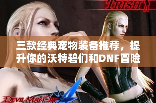 三款经典宠物装备推荐，提升你的沃特碧们和DNF冒险体验