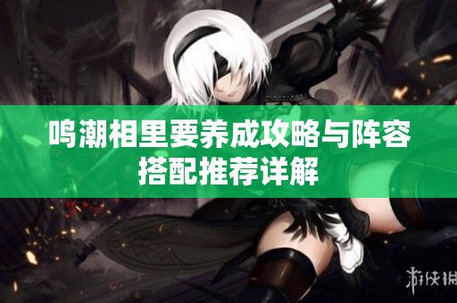 鸣潮相里要养成攻略与阵容搭配推荐详解