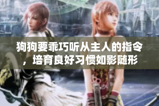 狗狗要乖巧听从主人的指令，培育良好习惯如影随形