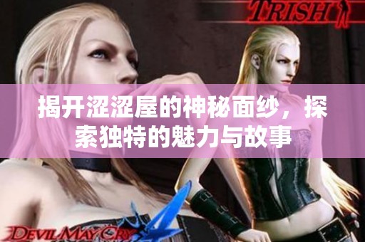 揭开涩涩屋的神秘面纱，探索独特的魅力与故事