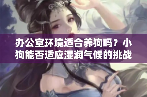 办公室环境适合养狗吗？小狗能否适应湿润气候的挑战