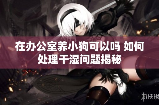 在办公室养小狗可以吗 如何处理干湿问题揭秘