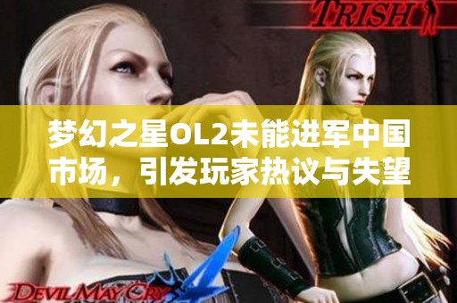 梦幻之星OL2未能进军中国市场，引发玩家热议与失望