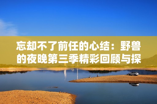 忘却不了前任的心结：野兽的夜晚第三季精彩回顾与探讨