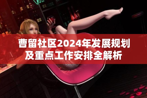 曹留社区2024年发展规划及重点工作安排全解析