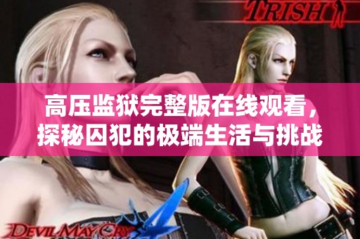 高压监狱完整版在线观看，探秘囚犯的极端生活与挑战