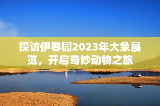 探访伊春园2023年大象展览，开启奇妙动物之旅