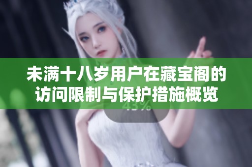 未满十八岁用户在藏宝阁的访问限制与保护措施概览