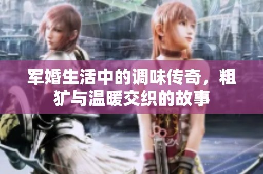军婚生活中的调味传奇，粗犷与温暖交织的故事