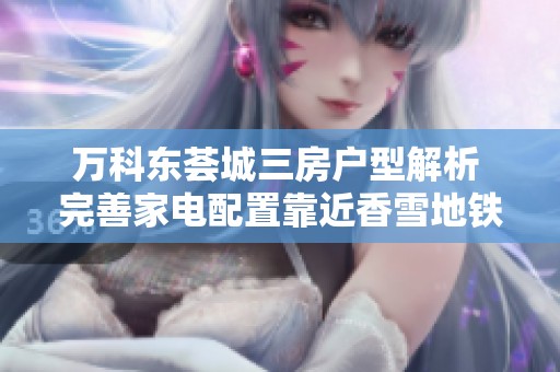 万科东荟城三房户型解析 完善家电配置靠近香雪地铁站