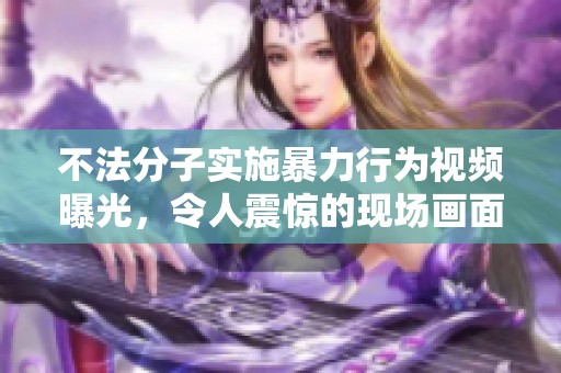 不法分子实施暴力行为视频曝光，令人震惊的现场画面