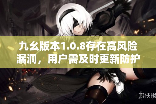 九幺版本1.0.8存在高风险漏洞，用户需及时更新防护措施